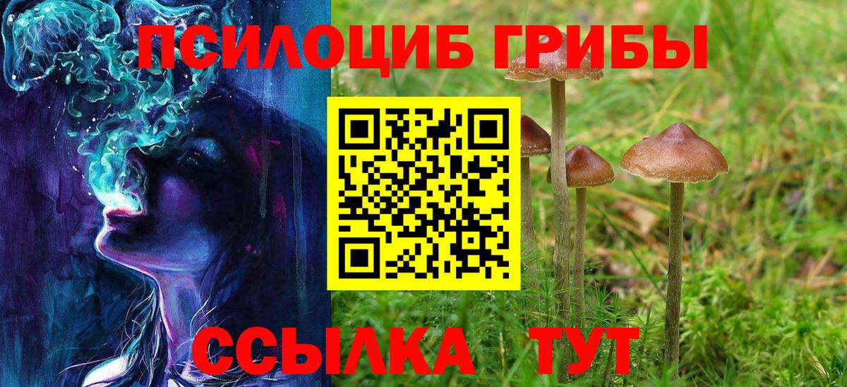 Галлюциногенные грибы Cubensis Камышин