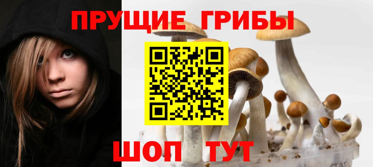 Камышин  Галлюциногенные грибы прущие грибы  магазин  наркотиков  Вход с VPN 